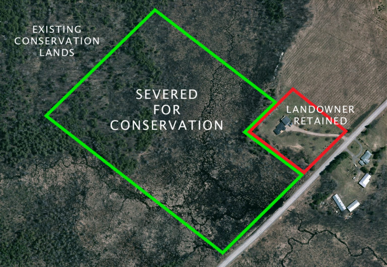 Conservation Orland Conservation Orland Conservation